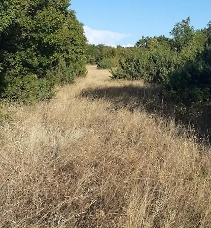 Kuca Za Odmor Gabri-el Krusevo (Zadar)